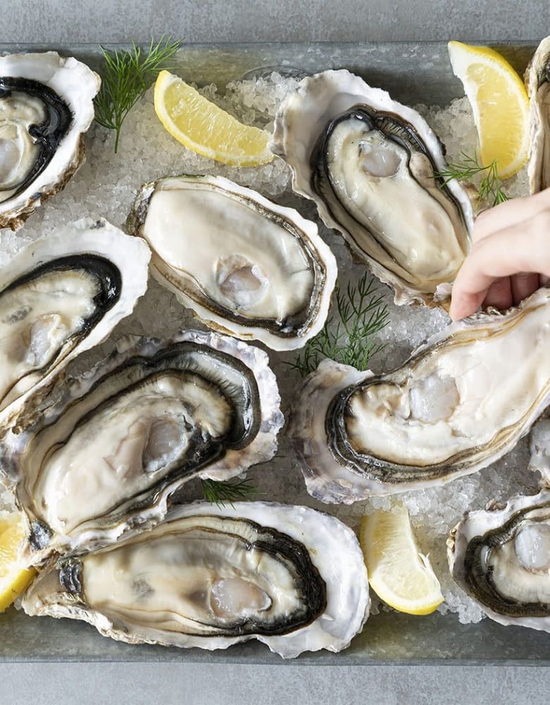 【料理長候補】オイスターバー＆レストラン　渋谷ヒカリエ店