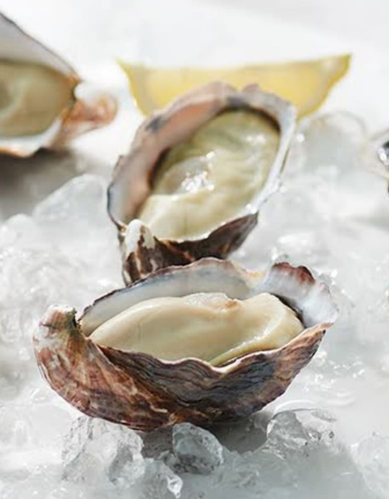 【料理長候補】オイスターレストラン天神ソラリアプラザ店