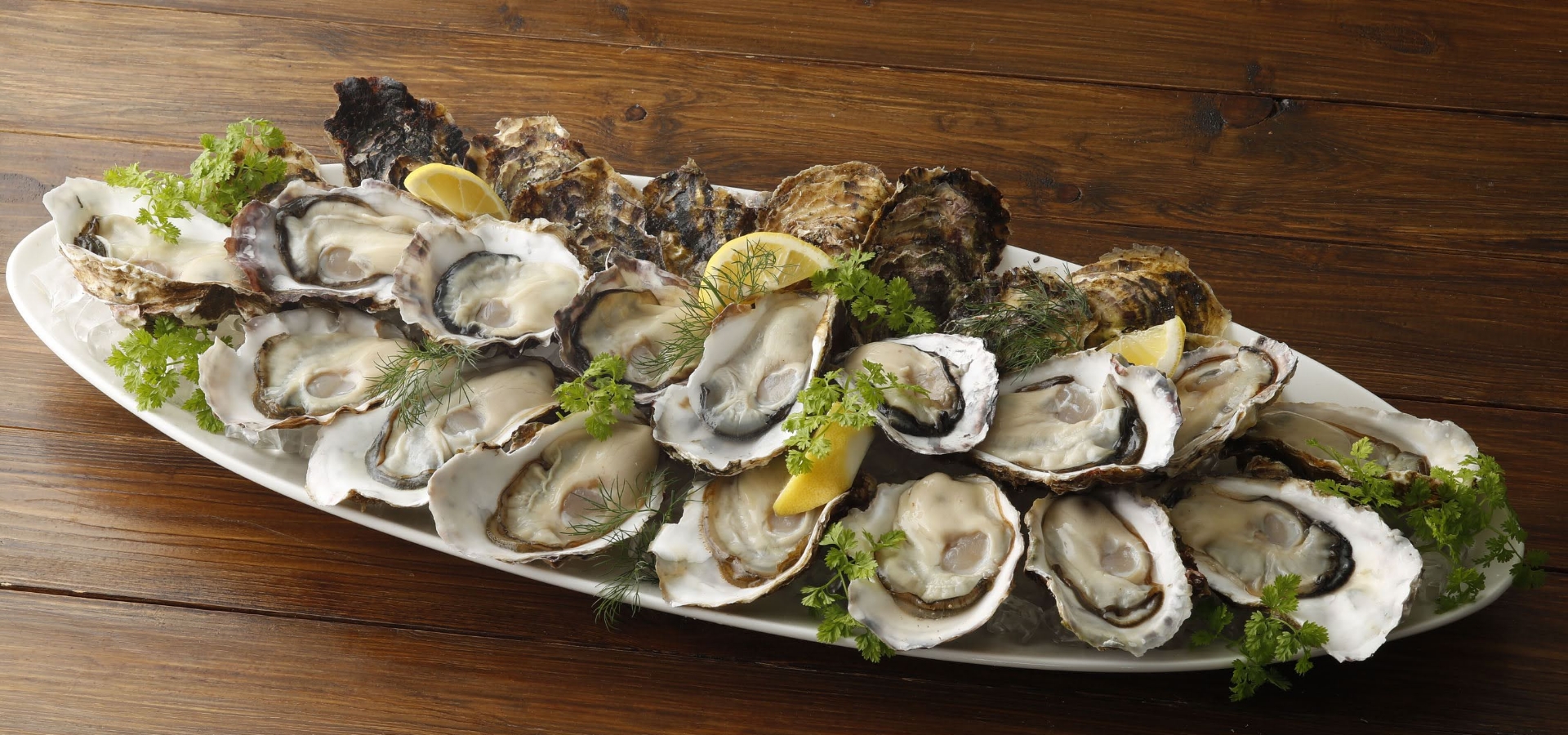 【料理長候補】オイスターバー＆レストラン　阪急うめだ本店